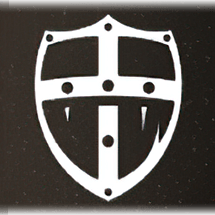 defense icon